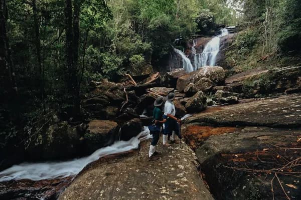 sinharaja forest tour guide