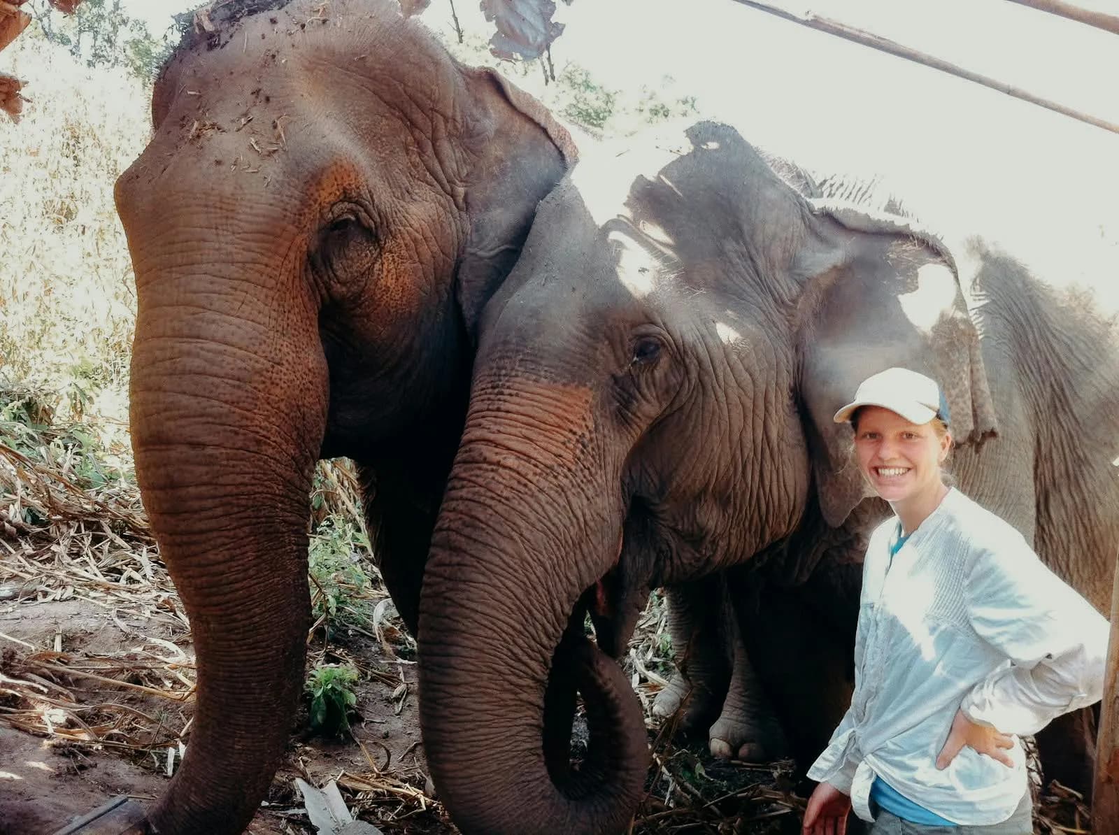 She stopped tourists touching elephants, and lost 75% of bookings